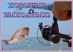 Картинка картинка хороших выходных с рыбалкой