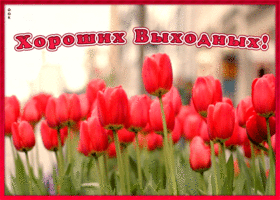 Картинка картинка хороших выходных с цветами