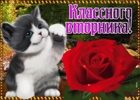 Картинка картинка классного вторника