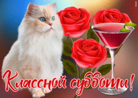 Картинка картинка классной субботы