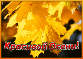 Открытка картинка красивой осени