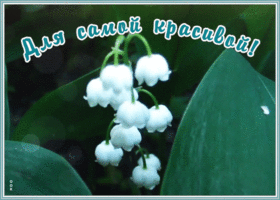 Открытка картинка ландыши самой красивой