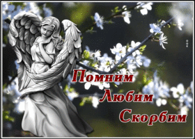 Картинка картинка любим помним
