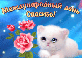 Открытка картинка международный день спасибо с котиком