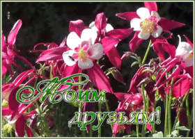 Открытка картинка милым друзьям