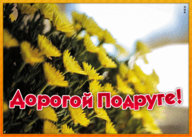 Картинка картинка моей дорогой подруге