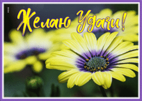 Picture картинка на удачу с яркими цветами