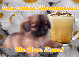 Открытка картинка отличного настроения на весь день