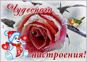 Картинка картинка отличного настроения в любую погоду