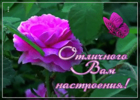 Картинка картинка отличного вам настроения