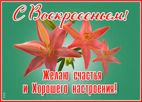 Открытка картинка плодотворного воскресенья