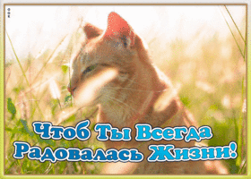 Картинка картинка подруге с надписями