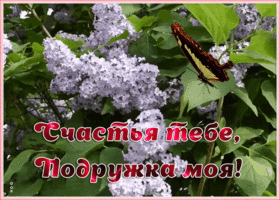 Открытка картинка подруге с сиренью