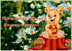 Открытка картинка прекрасного настроения