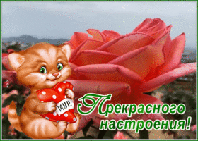 Postcard картинка прекрасного настроения с милым котиком