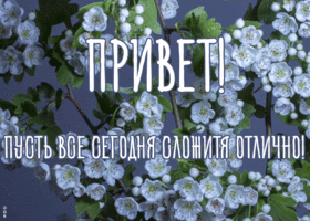 Открытка картинка привет новый день