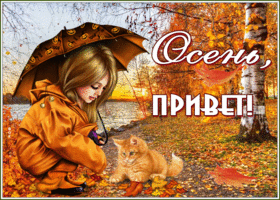 Картинка картинка привет от осени
