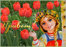 Картинка картинка привет с красными тюльпанами