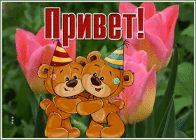 Открытка картинка привет с мишками