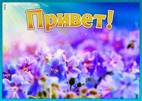 Картинка картинка привет с цветами