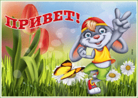 Картинка картинка привет с зайчиком