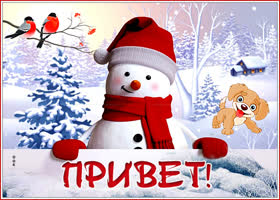 Картинка картинка привет со снегом