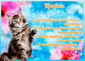 Открытка картинка привет со стихами