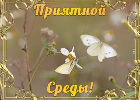 Картинка картинка приятной среды