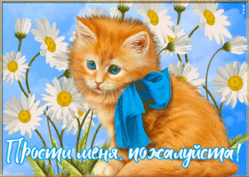 Картинка картинка прости меня, пожалуйста