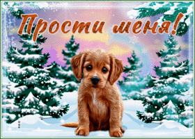 Picture картинка прости с очаровательным щеночком и снегом