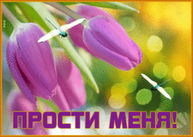 Picture картинка прости с тюльпанами и стрекозами