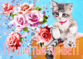 Открытка картинка пушистый привет