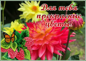 Postcard с цветами