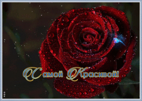 Открытка картинка роза самой красивой