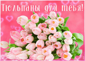 Картинка картинка розовые тюльпаны