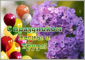 Postcard картинка с 1 мая с сиренью