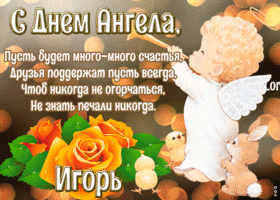 Открытка картинка с днём ангела игорь