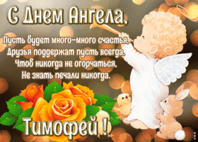 Открытка картинка с днём ангела тимофей