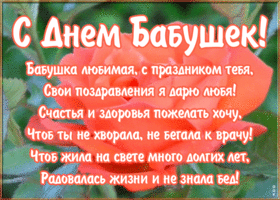 Картинка картинка с днем бабушек с красивыми словами