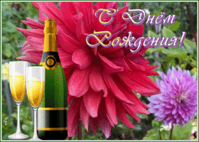 Postcard картинка с днем рождения женщине, с бокалом игристого