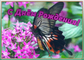 Открытка картинка с днем рождения девочке с бабочкой