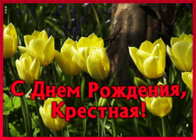 Открытка картинка с днем рождения крестной с тюльпанами