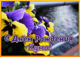 Картинка картинка с днем рождения куме с анимацией
