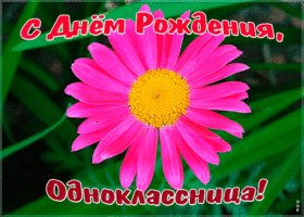 Картинка картинка с днем рождения однокласснице с анимацией