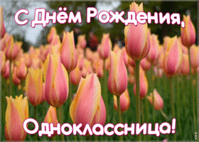 Картинка картинка с днем рождения однокласснице с тюльпанами