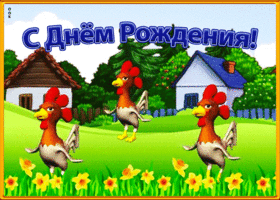 Картинка картинка с днем рождения с юмором