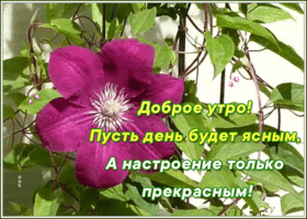 Открытка картинка с добрым утром и хорошего настроения