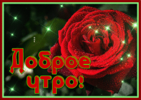 Открытка картинка с добрым утром новинка