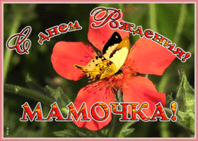 Картинка картинка с любовью в день рождения маме