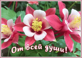 Открытка картинка с необычными цветами